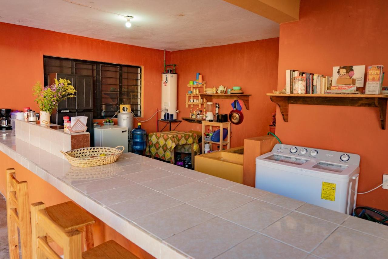Casa Sofia Hostel San Cristobal de las Casas